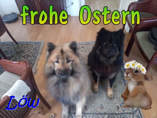 12.4.2020 - Osterhasi mit Howard und Dwix